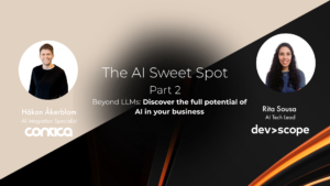 Machine learning webinar with Contica and DevScope – The AI Sweet Spot part 2