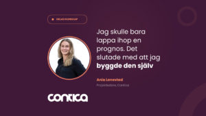 Jag skulle bara lappa ihop en prognos. Det slutade med att jag byggde den själv